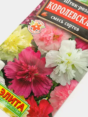 Купить семена: Шток-роза Королевская Смесь - цены,фото,отзывы |  Green-Club.com.ua