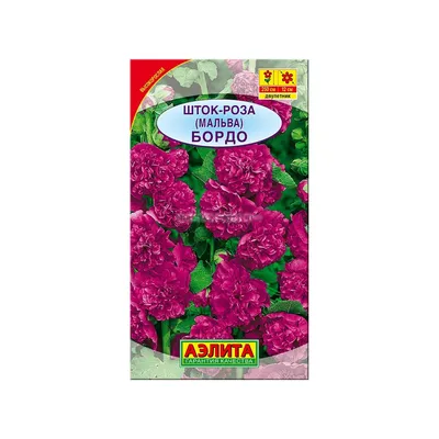 Шток-роза: выращивание, фото шток розы, мальвы | Любимые цветы