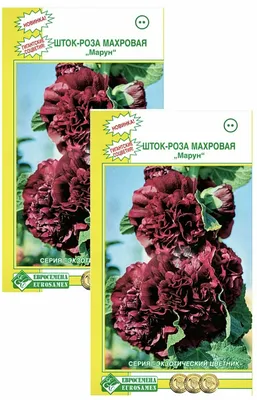 Мальва шток роза в саду (74 фото) - фото - картинки и рисунки: скачать  бесплатно