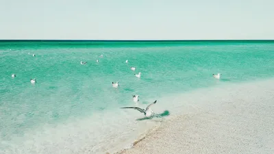 Отдых в Штормовом (Крым) 2023 под Евпаторией - Отель Del Mar