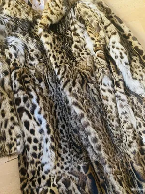 Купить Шубу из кумышового коту в интернет магазине | Артикул: M-1259-130-KK