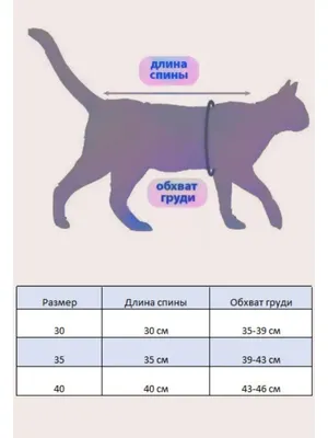 Шуба из кошки: воплощение элегантности и изысканности
