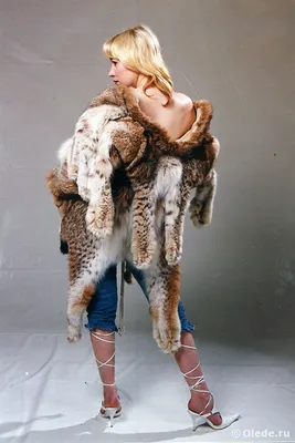 Искусство на фотографии: Шуба из кошки