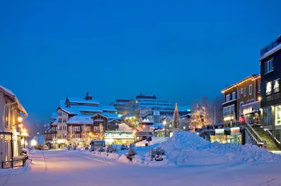 Экскурсии зимой в Стокгольме в январе 2024 года 🧭 цены от €26