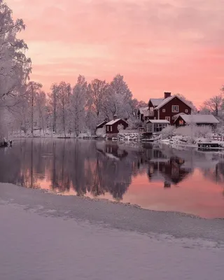 Ледена зима в Швеция - Фото галерии | Vesti.bg