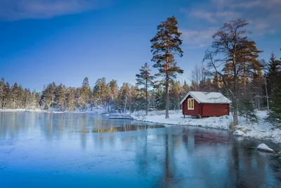 Каникулы в Швеции зимой!