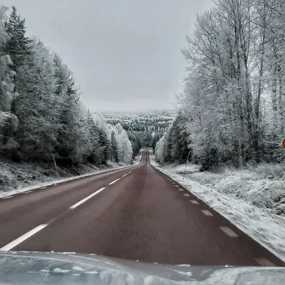 Новости:: В Швеции обсуждается специальная «зимняя» маркировка для шин