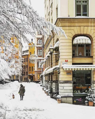 Стокгольм Швеция каток Kungsträdgården :: Swea Land – Социальная сеть  ФотоКто