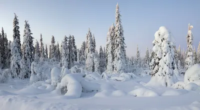 Швеция Зима Снег - Бесплатное фото на Pixabay - Pixabay