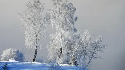 Jokkmokk Новая Церковь В Зимний Период, Провинции Норрботтен, Швеция  Фотография, картинки, изображения и сток-фотография без роялти. Image  17559510