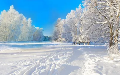 Сибирская зима фото фотографии