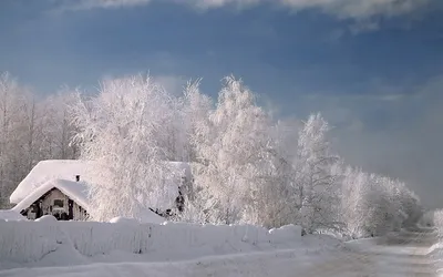 Природа Сибири зима (59 фото) - 59 фото