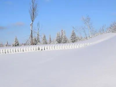 Сибирская зима. Photographer Fomina Marina