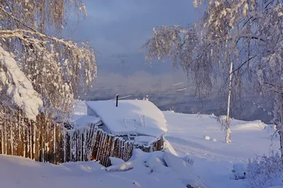 Сибирская зима — Фото №1429025