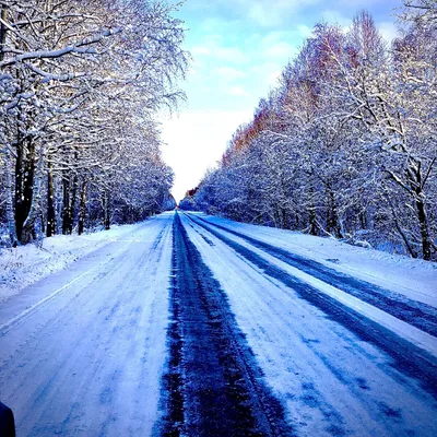 Фото просторы Сибири Зима Природа Времена года