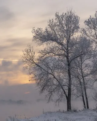 Photopodium.com - Сибирская зима
