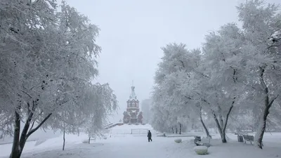Настоящая сибирская зима - РИА Новости, 29.02.2020
