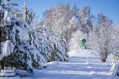 Сибирская зима | Пейзажи, Фотографии, Зима