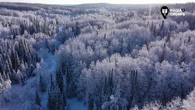 Зима в Сибири — общая характеристика и фотографии