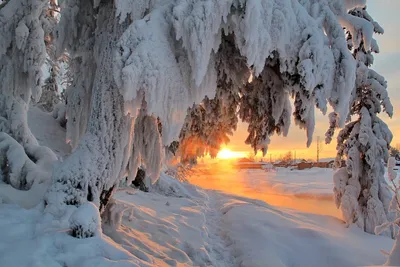 Зима в Сибири - 75 фото