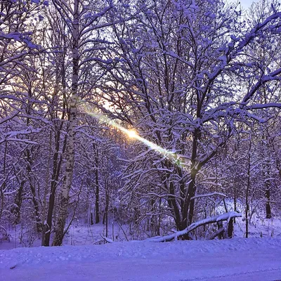 Зима в Сибири / фото