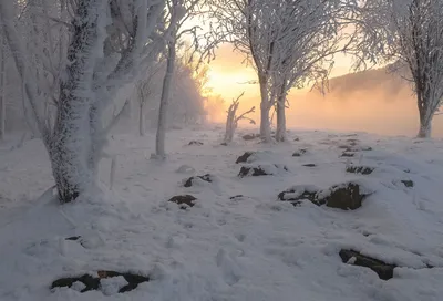 Сибирская зима ❄️ | Зима