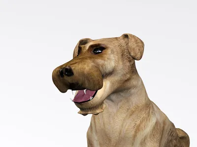 Большая имитация волчьей собаки из полиэтилена и пуха Сидящая собака модель  подарок около 40x20x48 см y0251 | AliExpress