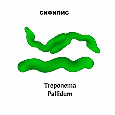 Фагеденизация твердого шанкра у молодой женщины