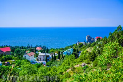 Фотоальбом Симеиз, фото отдыха на курорте Крыма - : Улицы Симеиза - Фото:  Крым пгт Симеиз - Симеиз 2022