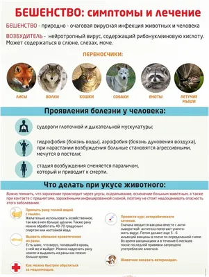 Бешенство у детей