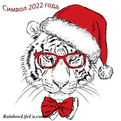 Символы 2022 года ТИГРЫ | Reklam.ru | Дзен