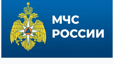 Купить Вымпел с символикой Ногинский спасательный центр МЧС России средний  вышитый 14х19 черный (4503032) - HAKKI