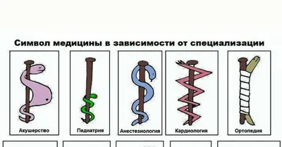 Символ Медицина, змея, Разное, животные png | PNGEgg