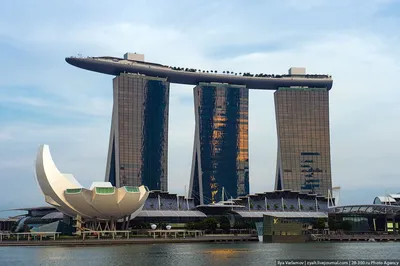 Сингапур отель с бассейном на крыше фото фотографии