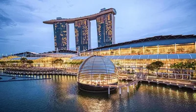10 лучших отелей и гостиниц с бассейном в Сингапуре - Tripadvisor