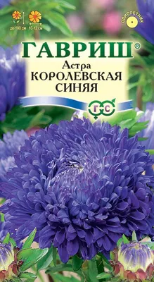 Астра пионовидная Королевский размер синяя 0,2 гр - купить в  интернет-магазине «Агросемфонд» с доставкой Почтой России