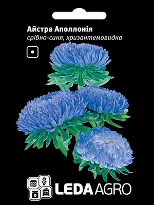 ✓ Семена Астра Леди Корал светло-синяя, розовидная, 0,05г, Гавриш, Satimex  по цене 36 руб. ◈ Большой выбор ◈ Купить по всей России ✓ Интернет-магазин  Гавриш ☎ 8-495-902-77-18