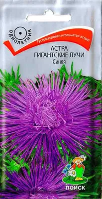 ꕤ Рассада Астра китайская Балун синяя 160 шт (касета) • купить Рассада Астра  китайская Балун синяя 160 шт (касета) по цене от 1 199.99 грн. в Украине