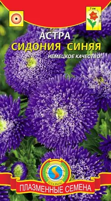 Семена астра Поиск Гигантские лучи Синяя 188441 1 уп. - купить в Москве,  цены на Мегамаркет