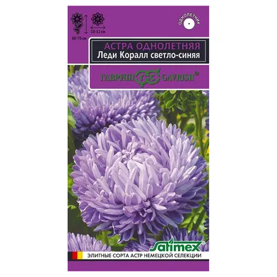 Семена цветов Астра \"Леди Корал темно-синяя\" купить по цене 52.16 ₽ в  интернет-магазине KazanExpress