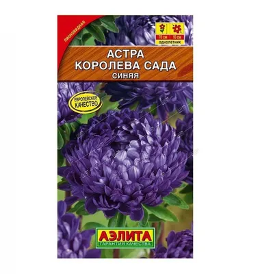 Астра Риббон синяя профи 1 г Satimex (ID#1351841713), цена: 98 ₴, купить на  Prom.ua