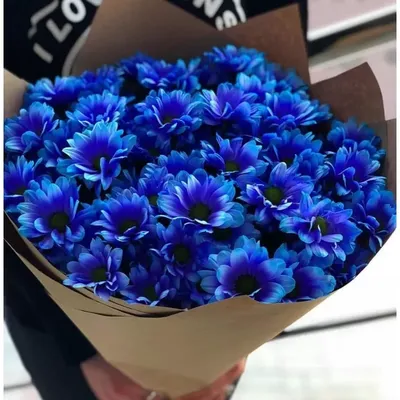 Хризантема синяя, от 100 рублей в Перми в интернет-магазине \"Евробукет\"