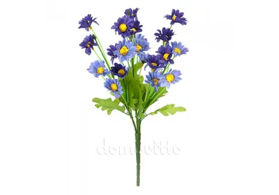 Ромашка голубая многолетняя корневище (ID#1198141514), цена: 35 ₴, купить  на Prom.ua