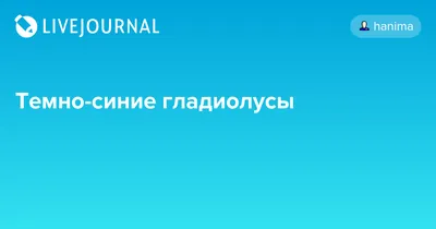 Купить Искусственный букет гладиолусы голубые 70 см, декоративные цветы на  пасху по выгодной цене в интернет-магазине OZON.ru (882341043)