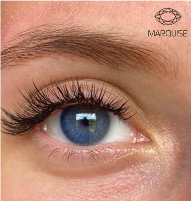 Купить оттеночные голубые линзы для Светлых глаз Marquise Solo blue в  интернет - магазине Colorlens24.ru