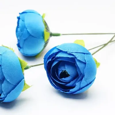 Blue peonies. Синие пионы. PNG. | Синие пионы, Пионы, Синий