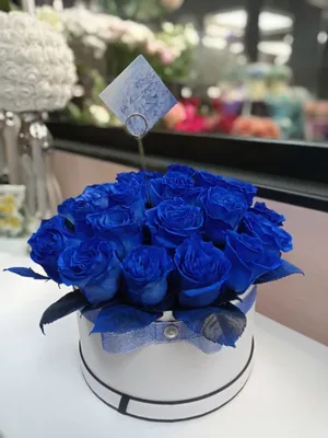 Синие и радужные розы - чудо природы или дело рук мастеров? — Karachun