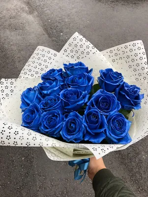 Свежие синие розы Mondial с крупным бутоном в Красноярске