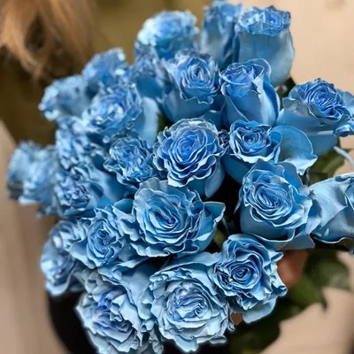 Синие розы 15 шт. купить с доставкой в Москве. Цена от 4050 ₽