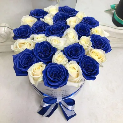 Букет из 25 синих роз 60 см - Купить розы с доставкой